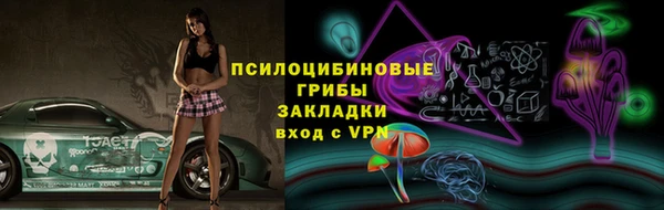 СК Инсар