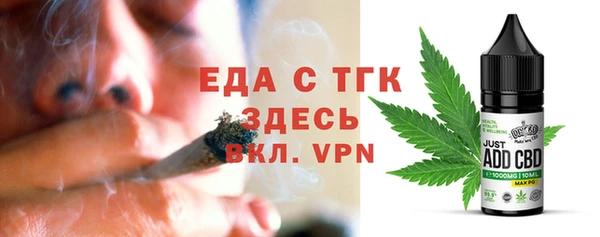 СК Инта