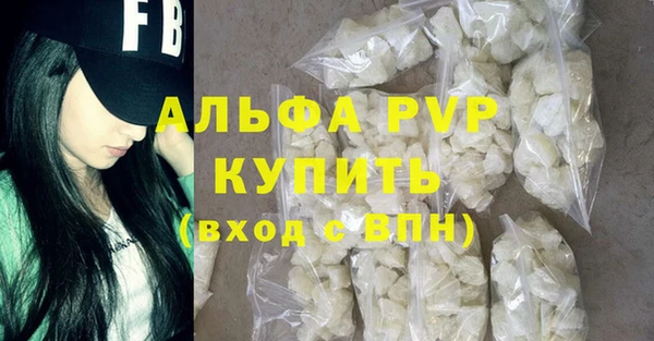 стаф Каменногорск