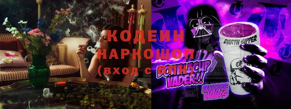 СК Инсар