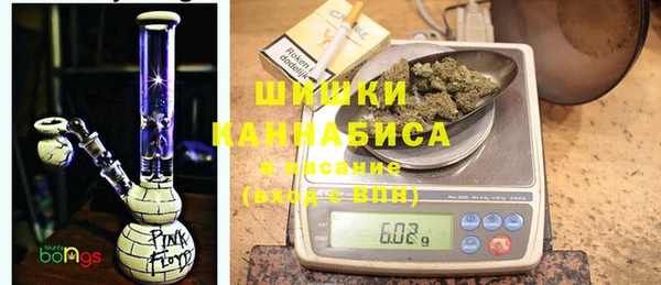 СК Инта