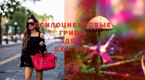 СК Инсар