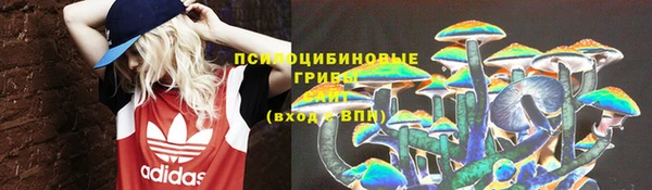 ECSTASY Иннополис