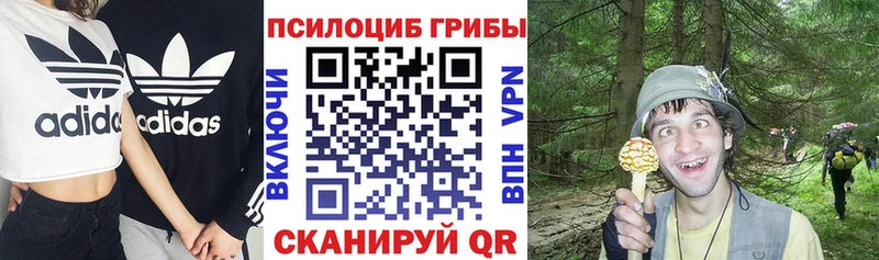 Купить закладки  Когалым  Псилоцибиновые грибы мухоморы 